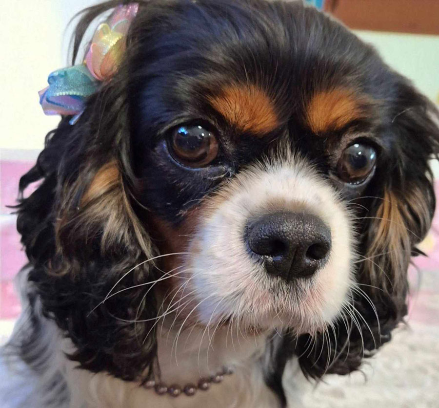 whose a pretty girl